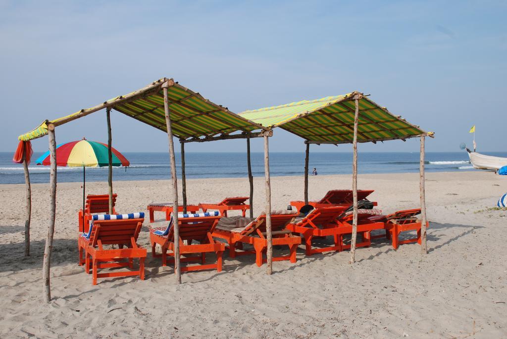 Molly'S Nest Hotel Mandrem Kültér fotó